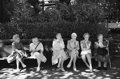 Senior ladies at park photo